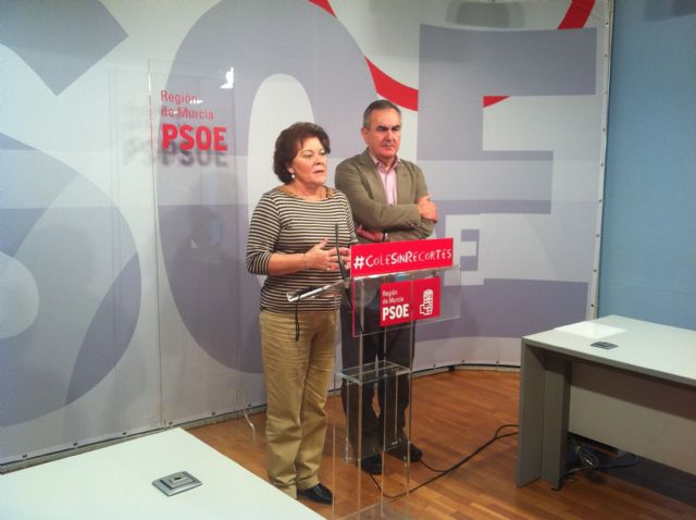 Tovar exige a Rajoy que retire los recortes impuestos a la Ley de Dependencia - 1, Foto 1