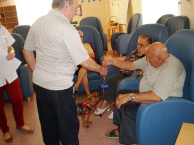 Terapia canina, talleres y visitas culturales en el Centro de Día de El Algar - 1, Foto 1