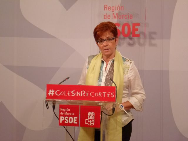 El PSOE presenta Enmienda a la Totalidad de los Presupuestos regionales - 1, Foto 1