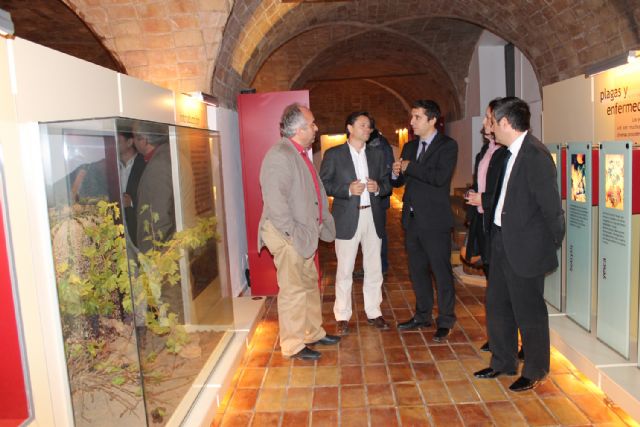 El Consejero de Cultura y Turismo visita Bullas - 4, Foto 4