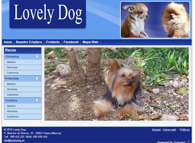 Los cachorros más adorables en la web de Lovely Dog, desarrollada con Superweb, Foto 1