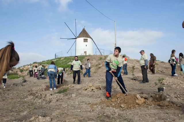 Alumbres aumenta sus espacios verdes - 4, Foto 4