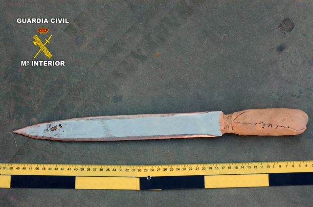 La Guardia Civil desmantela una banda juvenil dedicada a cometer robos en vehículos y causar daños en La Unión - 5, Foto 5