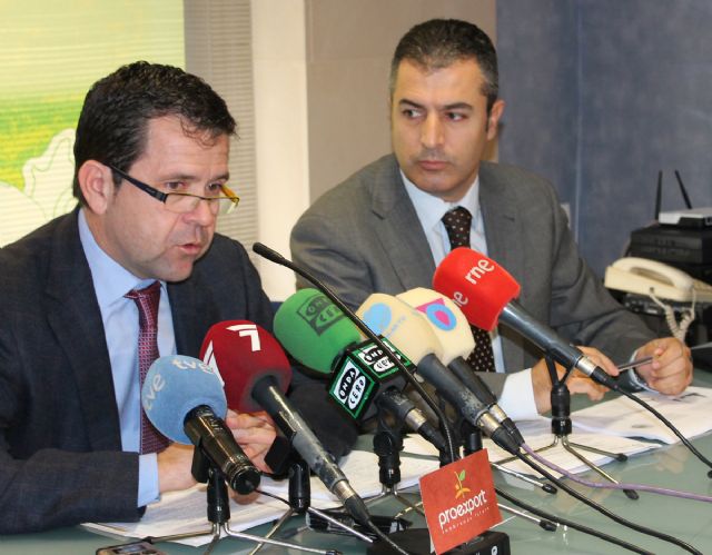 Las empresas de PROEXPORT comercializaron 956.051 Tm de frutas y hortalizas durante la campaña 2011-12, un 2% más - 2, Foto 2