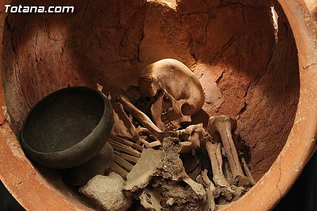 Rotary Club Murcia Norte organiza la conferencia Arqueología en La Bastida: Política, Economía y Ritual en una ciudad prehistórica - 1, Foto 1