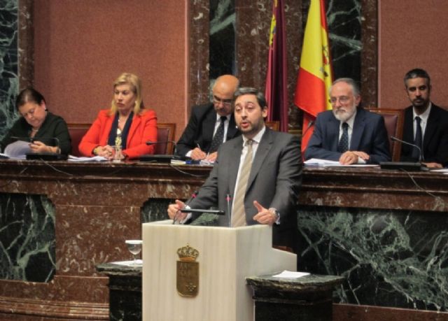 Martínez (PP): Algunos no se enteran de que el equilibrio presupuestario es la base del crecimiento económico - 1, Foto 1