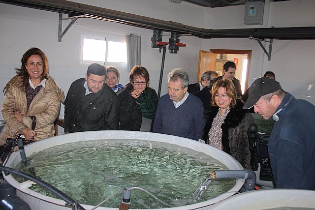 La Estación de Acuicultura Marina promueve las investigaciones en el cultivo de peces para impulsar su producción en cantidad y calidad - 1, Foto 1