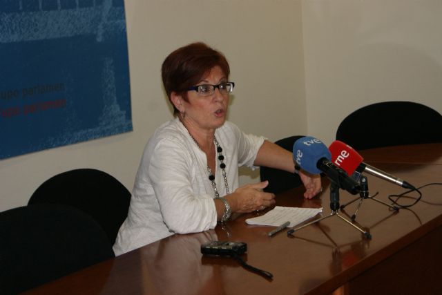 El PSOE presenta 157 enmiendas parciales a los presupuestos del CARM 2013 para 315 actuaciones - 1, Foto 1