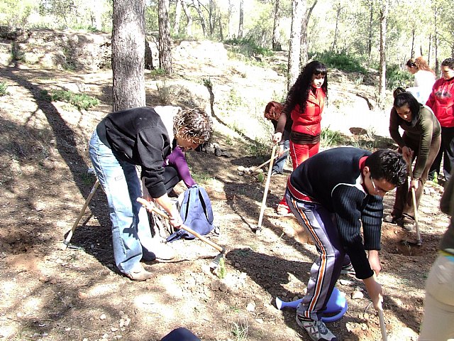 El voluntariado ambiental clausura el programa de conservación en espacios naturales 2012 con una repoblación en la zona del Salmerón - 1, Foto 1