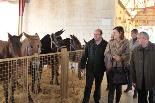 El Alcalde y la Directora General de Ganadería inauguran la tradicional Feria de Ganado Equino de Puerto Lumbreras - 1, Foto 1