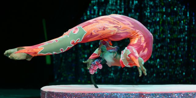 La alegría del circo llega a Murcia - 2, Foto 2