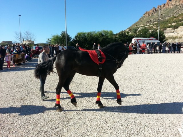 I exhibición de doma de caballos - Villanueva del Río Segura - 1, Foto 1