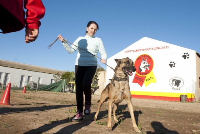 Doce alumnos participan en el Curso de técnico de modificación de conducta canina de la ADLE - 2, Foto 2