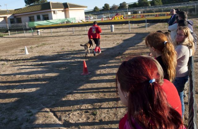 Doce alumnos participan en el Curso de técnico de modificación de conducta canina de la ADLE - 3, Foto 3