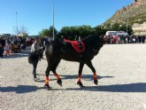 I exhibicin de doma de caballos - Villanueva del Ro Segura