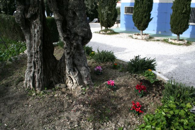 Los usuarios de Betania se forman como jardineros - 3, Foto 3
