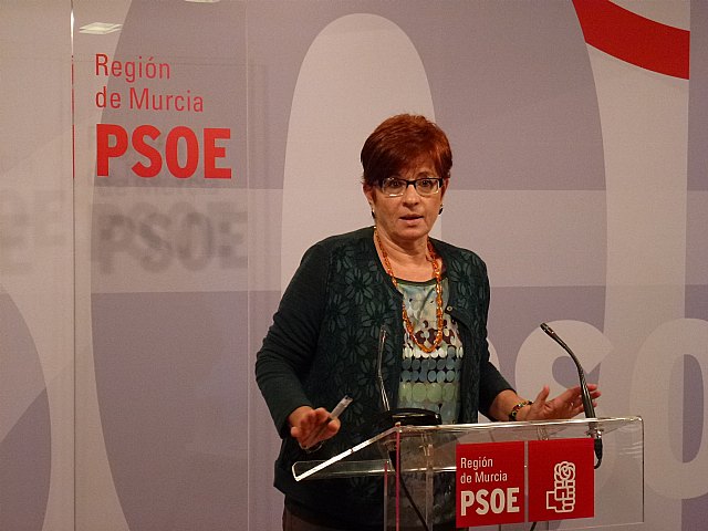 El PSOE pide explicaciones sobre las irregularidades en la Agencia regional de Gestión de la Energía (ARGEM) - 1, Foto 1