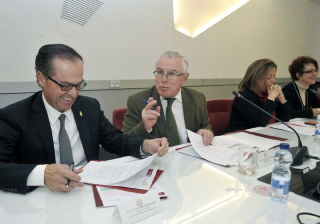 Alumnos de la Universidad de Murcia harán acciones de voluntariado en Santomera - 3, Foto 3