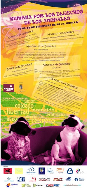 La asociación 4 Patas de Jumilla pone en marcha la Semana Internacional de los Derechos de los Animales - 1, Foto 1
