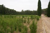 El vivero forestal de El Valle inicia la campaña Verde Navidad para la adquisicin de rboles navideños
