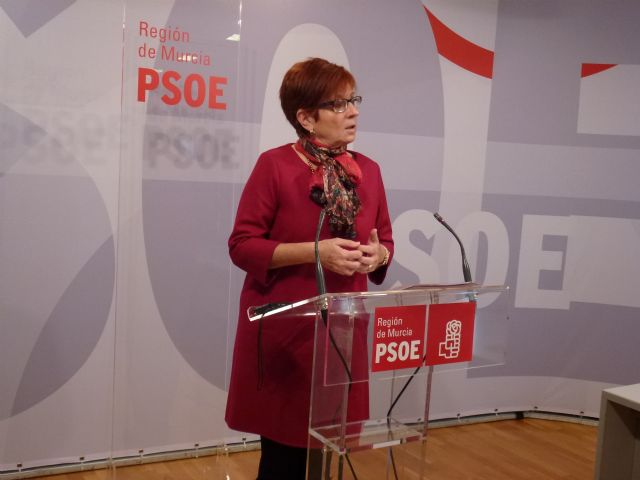 García Retegui: El Partido Socialista ni miente ni calumnia, Argem ha incumplido varias leyes - 1, Foto 1