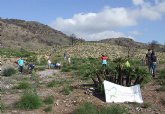 Ms de 400 voluntarios ambientales participan en la recuperacin ambiental de los montes del litoral afectados por incendios forestales