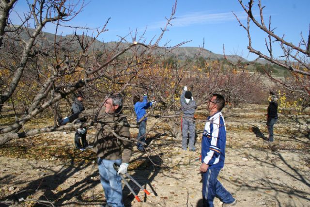 Veinte personas aprenden a podar árboles frutales - 1, Foto 1