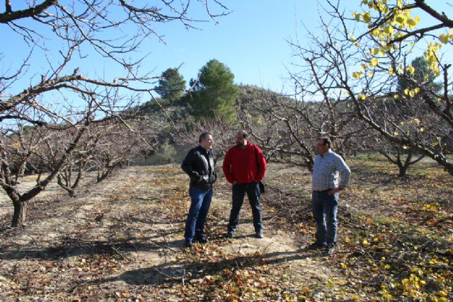 Veinte personas aprenden a podar árboles frutales - 3, Foto 3