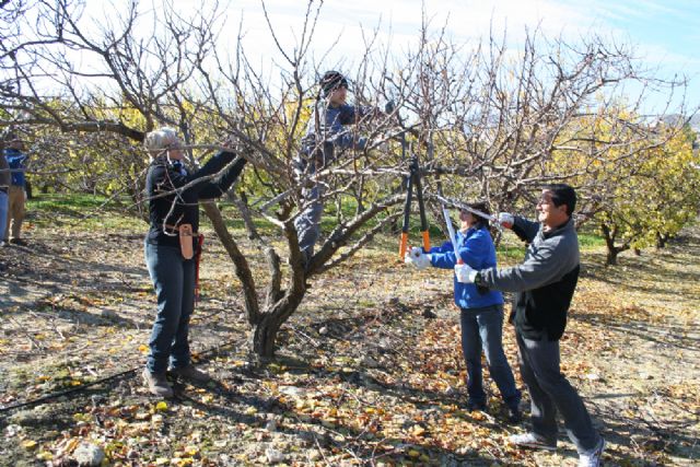 Veinte personas aprenden a podar árboles frutales - 4, Foto 4