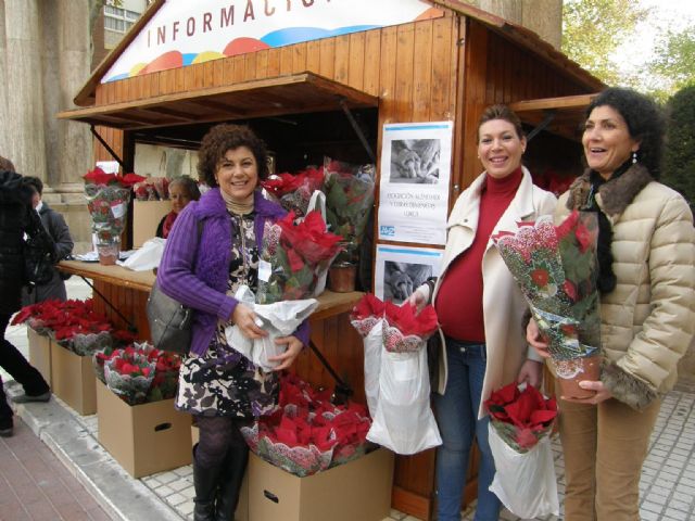 La Asociación Alzheimer Lorca vende flores de pascua para recaudar fondos para sus actividades - 1, Foto 1