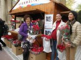 La Asociación Alzheimer Lorca vende flores de pascua para recaudar fondos para sus actividades