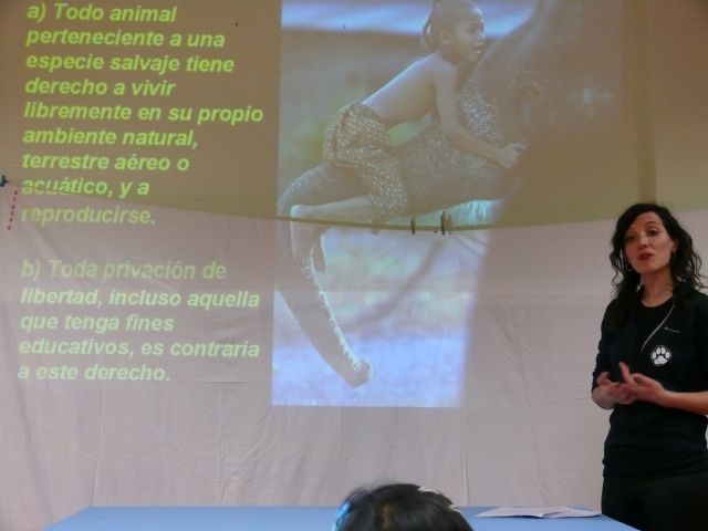 Cerca de 30 niños participan en el Taller Creativo 4 Patas - 3, Foto 3