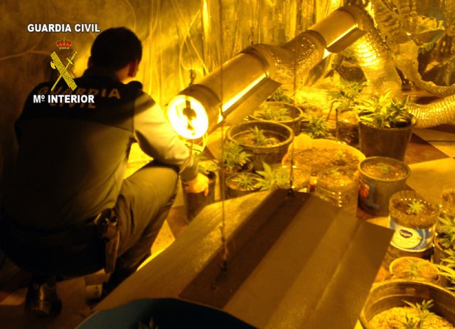 La Guardia Civil detiene a más de medio centenar de personas e incauta más de 1000 kilos de marihuana, Foto 3