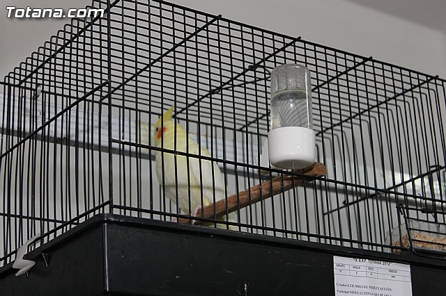 Exposicin Ornitolgica Ciudad de Totana 2012 - 11