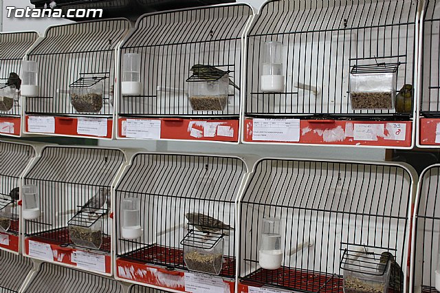 Exposicin Ornitolgica Ciudad de Totana 2012 - 14