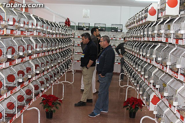 Exposicin Ornitolgica Ciudad de Totana 2012 - 28