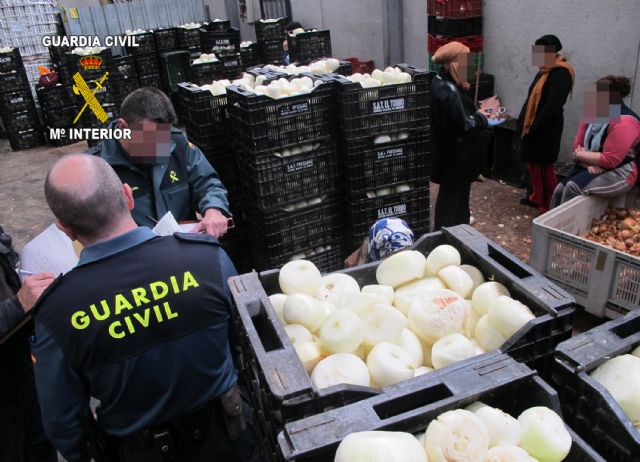 La Guardia Civil desmantela un almacén clandestino de elaboración de productos hortícolas - 1, Foto 1