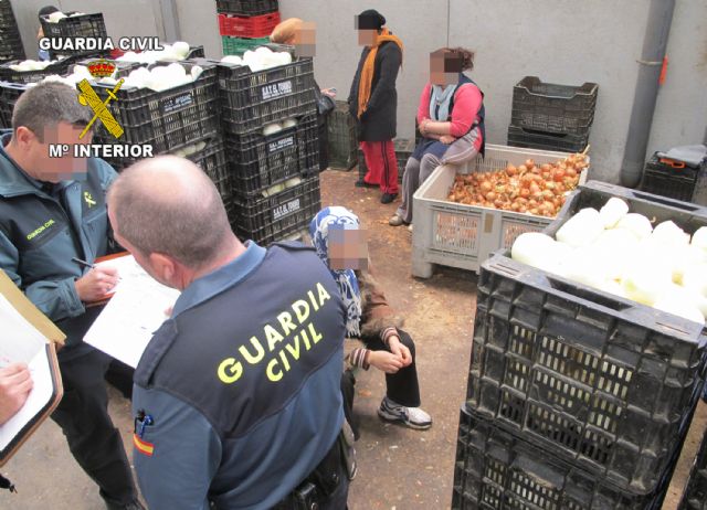 La Guardia Civil desmantela un almacén clandestino de elaboración de productos hortícolas - 2, Foto 2