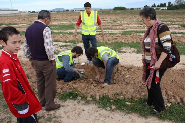 Éxito de participación en la plantación de pinos para crear el primer pulmón urbano de Torre-Pacheco - 1, Foto 1