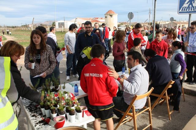 Éxito de participación en la plantación de pinos para crear el primer pulmón urbano de Torre-Pacheco - 3, Foto 3