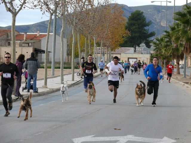 Más de 50 personas participaron en el I Canicross Popular Corre con tu perro celebrado en Jumilla - 4, Foto 4