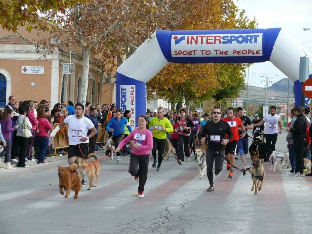 Más de 50 personas participaron en el I Canicross Popular Corre con tu perro celebrado en Jumilla - 5, Foto 5