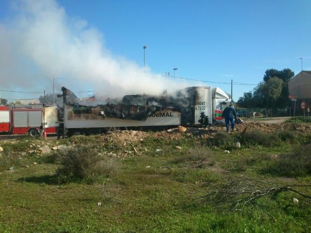 Efectivos municipales de emergencias intervienen en el incendio de un camión de transporte de animales vivos en las Ventas de El Paretón-Cantareros, Foto 1