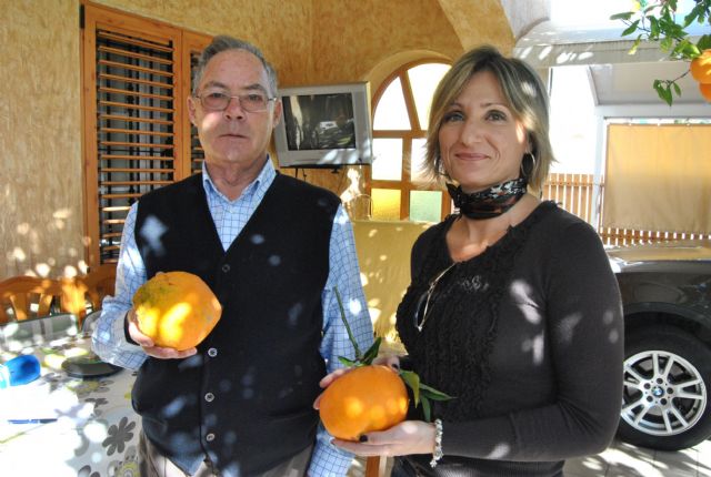 Un vecino de La Ribera recolecta, en su jardín,  una naranja de casi 1 kilo de peso - 2, Foto 2
