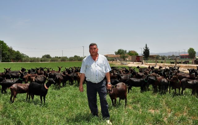 Fecoam, a petición del Ayuntamiento de Lorca, representará al sector agrícola y ganadero en la Mesa Solidaria - 1, Foto 1