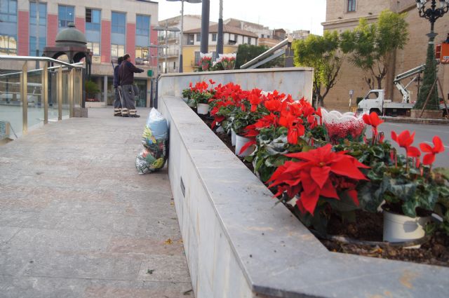 The city is adorned with christmas decorations and floral decorations for Christmas and Reyes, Foto 1