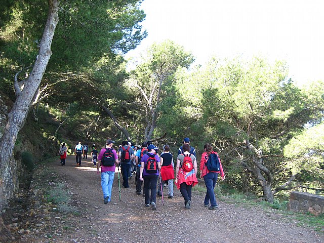 Los espacios naturales de la Regin celebran la Navidad con talleres, juegos y rutas para fomentar el respeto al medio ambiente, Foto 1