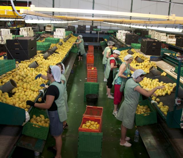 Fecoam pide que se aceleren al máximo las devoluciones de IVA de las cooperativas agrarias para no 'asfixiar' al campo murciano - 1, Foto 1