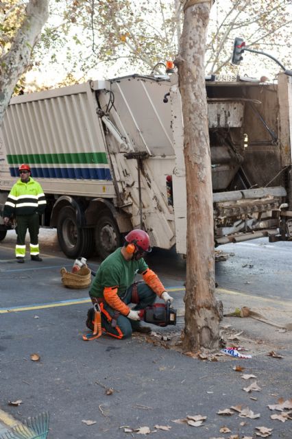 Infraestructuras retira dos árboles de la esquina de Reina Victoria con Ãngel Bruna - 4, Foto 4