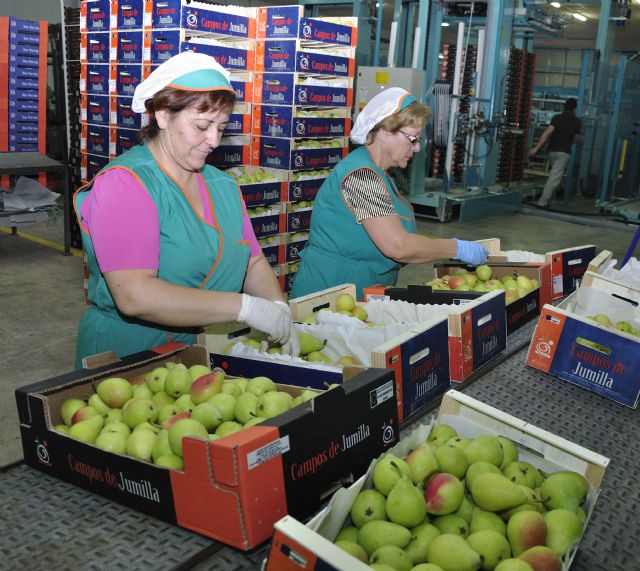 Fecoam reclama a los gobiernos regional y nacional que se aceleren las devoluciones de IVA para las empresas agroalimentarias - 1, Foto 1